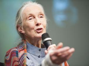 Kind older white lady with white hair giving a speech with a microphone