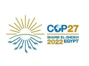 Yellow and blue graphic representing the sun, the earth, and the oceans for the 2022 climate conference