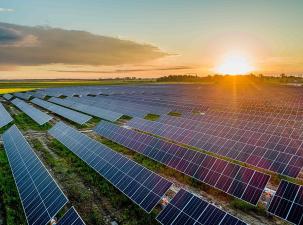 A huge field of dark blue solar panels sit on a flat landscape with the sunsetting in the background.