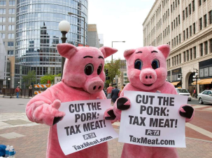 Protesters dressed as pigs stand in the street holding signs demanding a higher tax on meat.