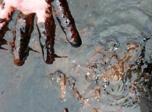 Fingers covered in oil from an oil spill at Ikarama, Bayelsa State.