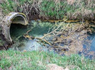 Polluted runoff sewage water runs into a lake and pollutes the environment.