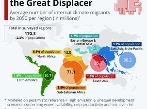 Map of the world which shows the average number of internal climate migrants by 2025 by region.