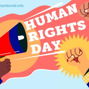 Raised fists and a hand holding a megaphone, in front of a human rights flag.