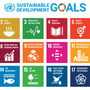 Grid image displaying the 17 goals of the SDGs, each square is a different colour, provides the number of the goal, the image that represents it and a brief description