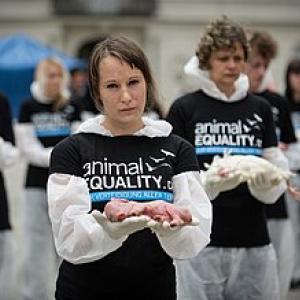 An image of a demonstration by the organisation Animal Equality in Germany.