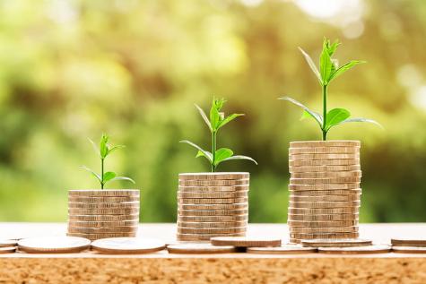 Three stacks of gold coins increasing in height from left to right have small green plants growing behind them, also increasing in height with each stack. 