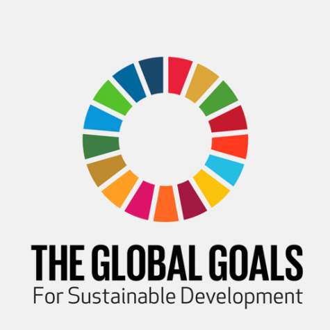 The Sustainable Development Goals logo. The 17 goals are represented in a circle, each with a small section given a different colour.