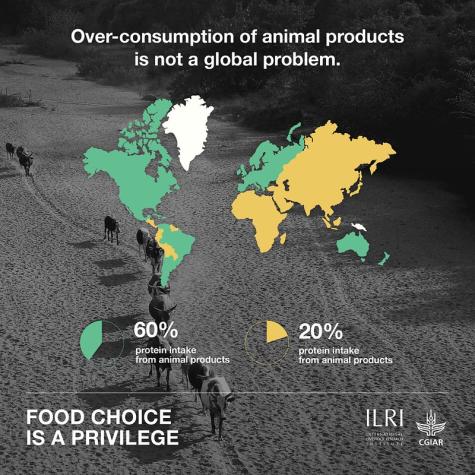 Map of the world displaying the countries where protein intake from animals is more than 60% and countries where protein intake from animal products is 20%