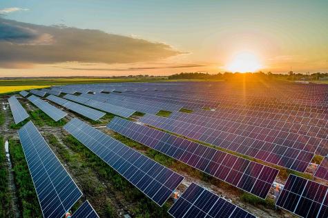 A huge field of dark blue solar panels sit on a flat landscape with the sunsetting in the background.