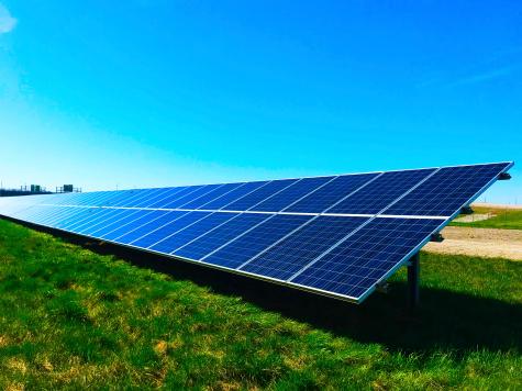 A long row of blue solar panels shine in the sunlight on a green field under a blue sky