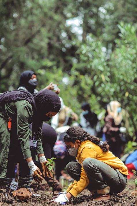 A woman wearing a black hijab teaches a young girl how to plant a tree in a forest. In the background there are many other women and children working on the project.