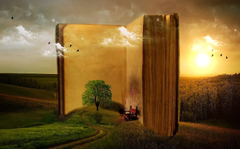 A fantasy image of a large book in nature with a small wooden chair and a tree beside it. The background is green farmers fields and a flock of birds fly between the pages