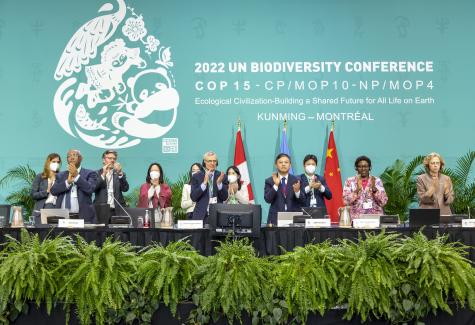 Image of many of the main players at the UN Biodiversity conference Cop15. They are all standing behind a table with a large green background displaying the logo