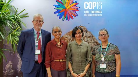 Four key representatives of the COP16 UN Biodiversity talks stand infront of the logo for the 2024 conference