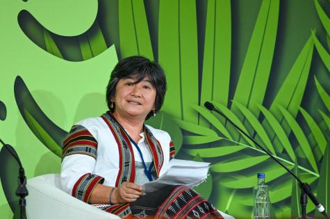 Joan Carling, Indigenous Peoples' Major Group speaking at the Forest event at the SEC