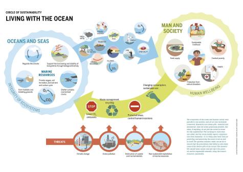 Infographic showing the relationship between oceans and seas and man and society and how we can work sustainably with our oceans. At the bottom is displays the major threats to our planets oceans