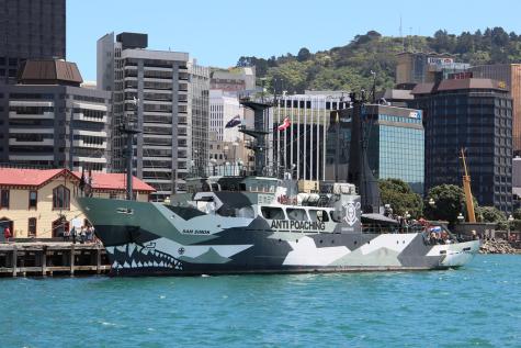 The Sam Simon ship owned by marine conservation organisation Sea Shepherd is docked at Wellington Harbour. It has large shark teetch painted on the front and its says 'Antipoaching' in large letters on its side