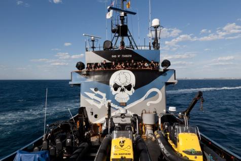 Sea Shepherd anti-whaling team stand on the bridge of one of their ships with the skull logo painted behind them