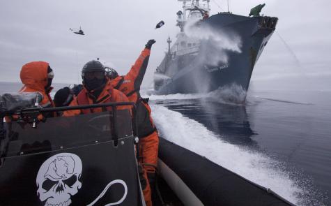 Sea Shepherd crew member Laurens De Groot hurls a bottle of butyric acid from a zodiac at Japanese harpoon whaling ship