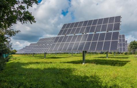 Rows of blue solar panels sit in a green field under a blue sky