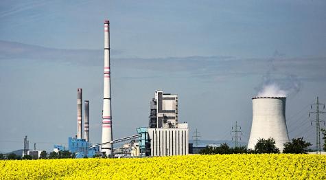 A large biofuel power station is pictured with a bright yellow rapeseed field in the foreground.