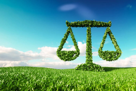 Graphic of a weighing scales made out of leaves sits perfectly balanced in a green field under a blue sky.