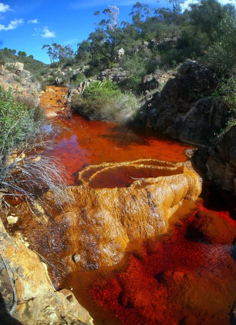 Terraced iron-sulphate-stromatolites formed by acid leachates from pyrite-bearing mine wastes, in Santa Rosa, Spain.