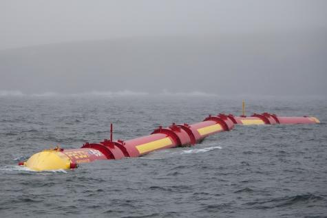 Pelamis P2 device, pictured at European Marine Energy Centre, Orkney.